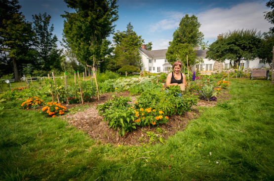 Screen Shot 2015-04-17 at 1.42.55 PM