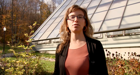 Screen Shot 2016-05-11 at 2.27.49 PM